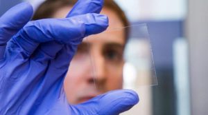 8 materiales de construcción que sorprenden