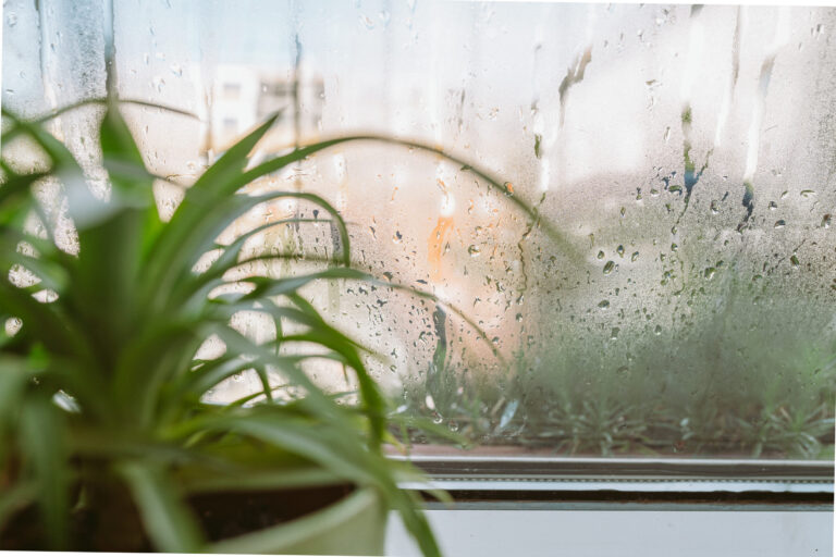 Cómo reducir la condensación en ventanas: causas reales y soluciones eficaces