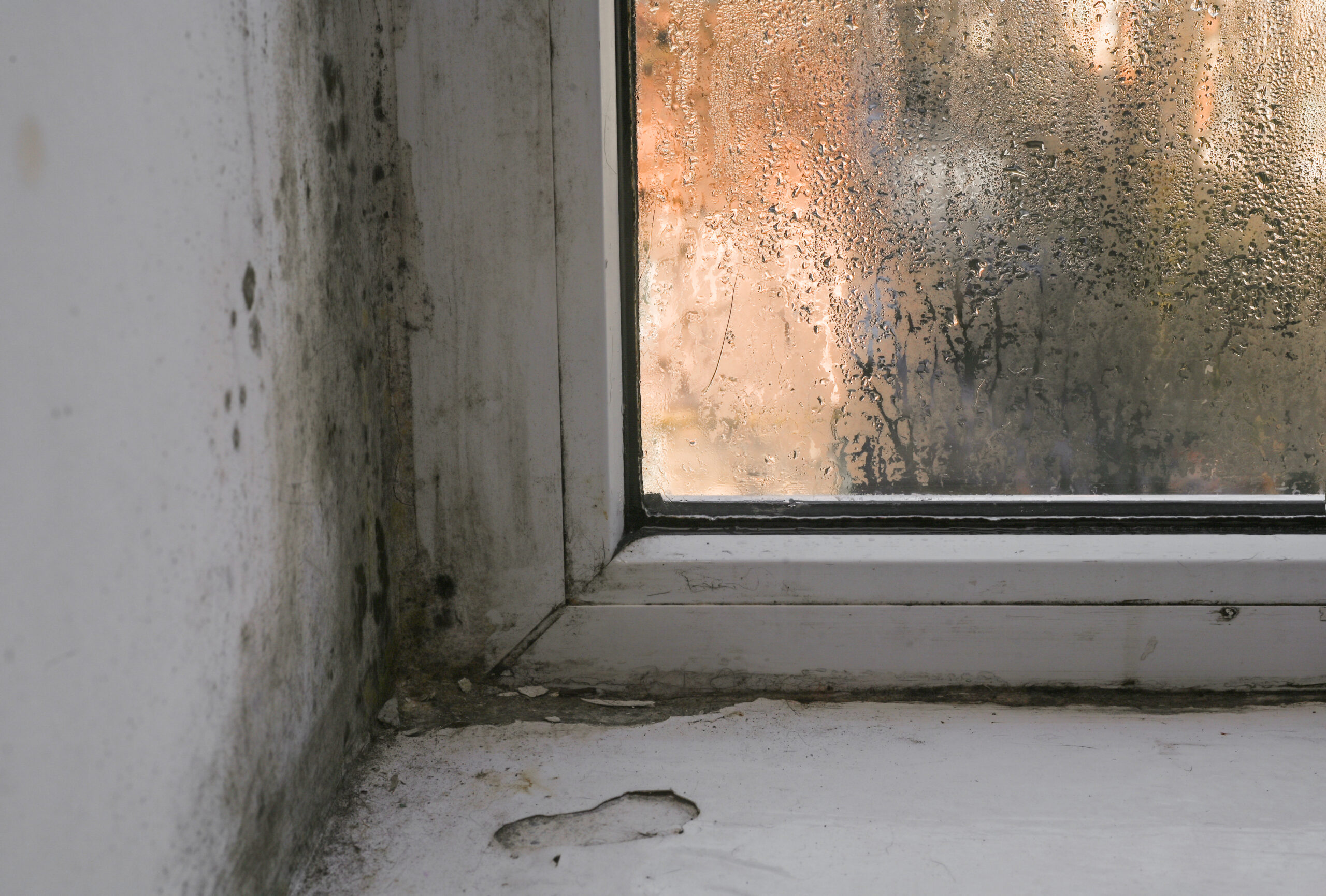 Cómo reducir la condensación en ventanas: causas reales y soluciones eficaces 2 ventana con condensación y humedad
