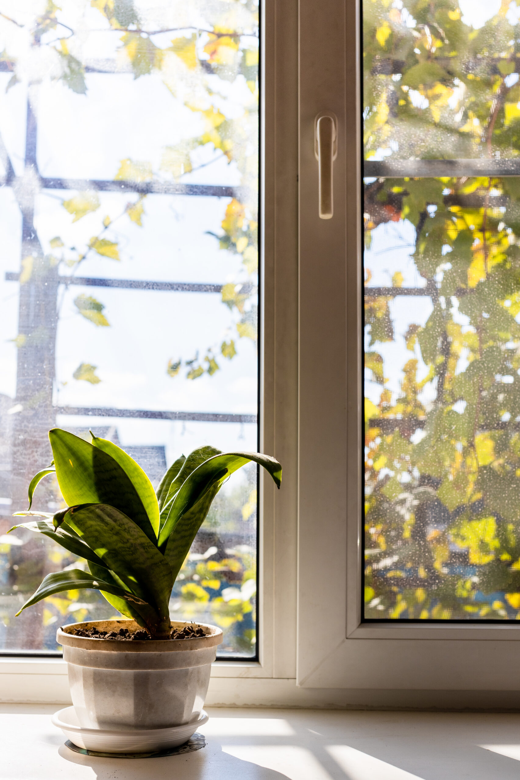 Ventanas PVC Asturias